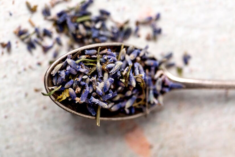 Lavendel